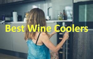 Best Allavino Wine Cooler To Look In