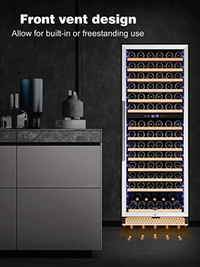 TYLZA 24 Inch Dual Zone Wine Fridge Wine Storage Expert