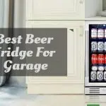 Best Beer Fridge for garage
