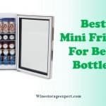 Best Mini Fridge For Beer Bottles