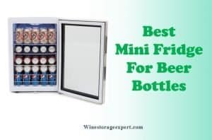 Best Mini Fridge For Beer Bottles