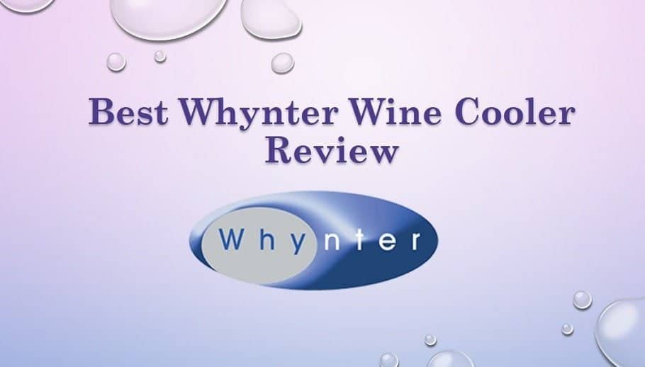 Best Whynter Wine Cooler Review Of 2024