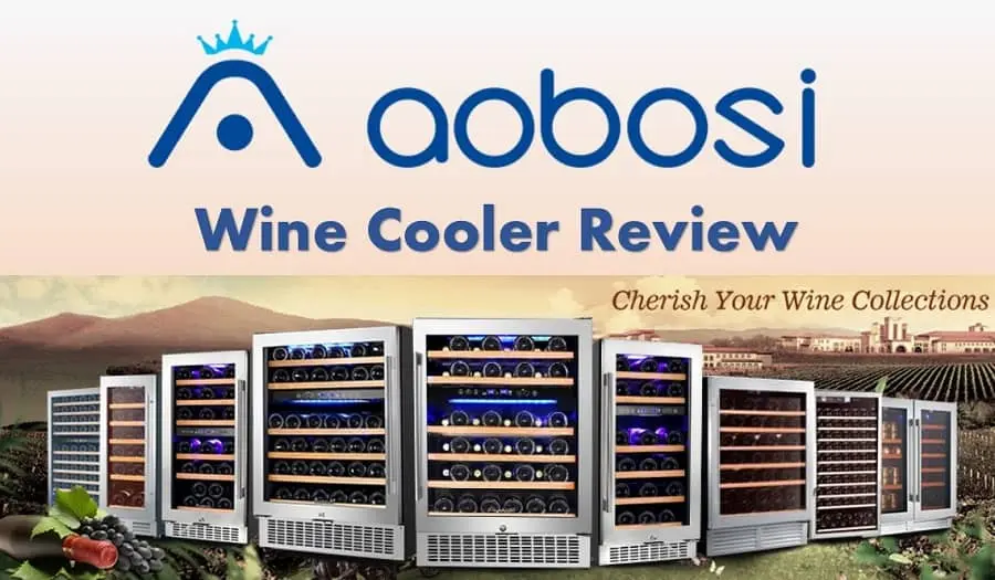 Aobosi Wine Cooler Reviews