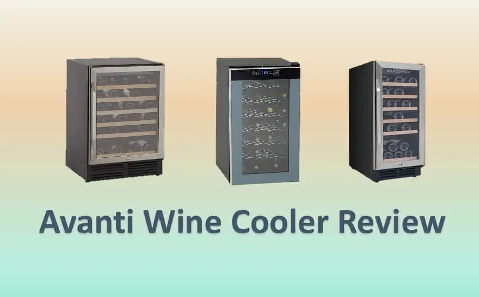 Best Avanti Wine Cooler Reviews