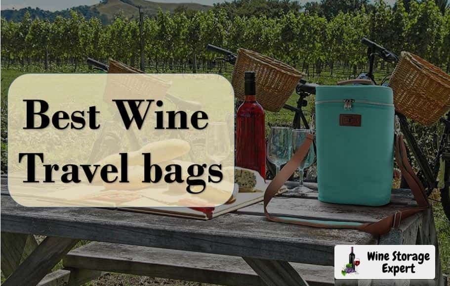 Best Wine Travel Bags