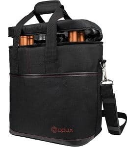 wine travel bag reviews