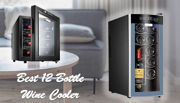 Best 12 Bottle Wine Cooler To Look In 2023   Best 12 Bottle Wine Cooler 