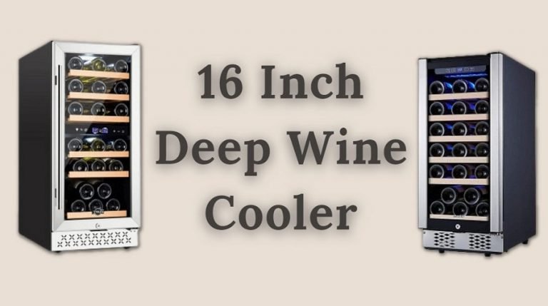 Top 10 Best Wine Cooler Brands Of 2022 Wine Storage Expert 2437