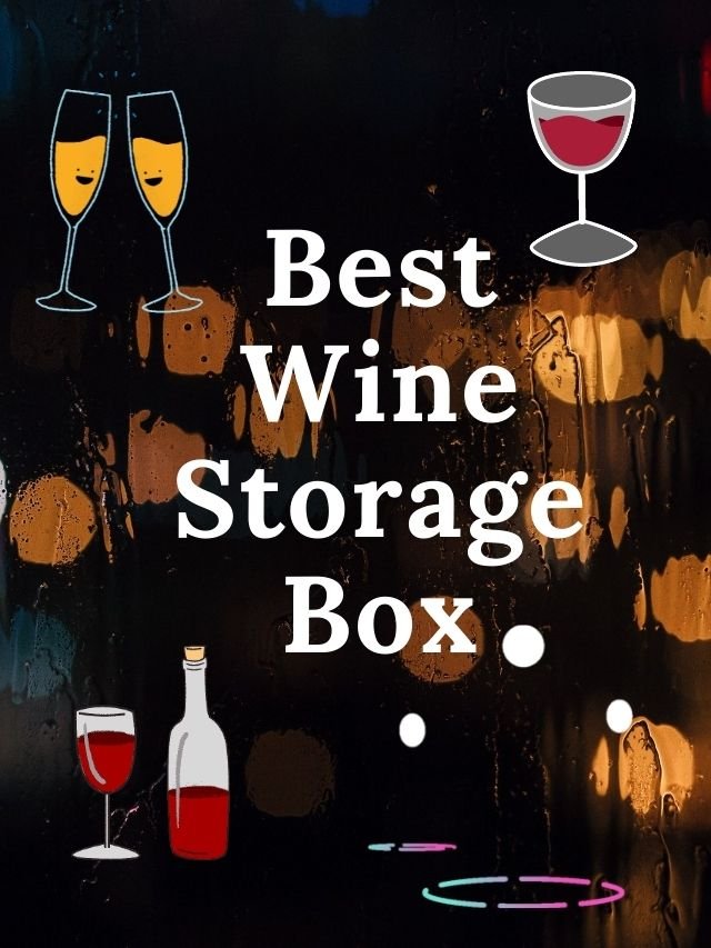 Best Wine Storage Boxes Wine Storage Expert