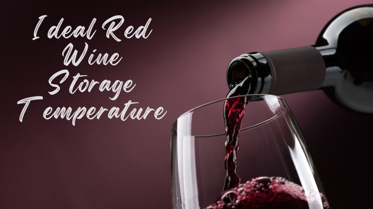 Ideal Red Wine Storage Temperature Wine Storage Expert