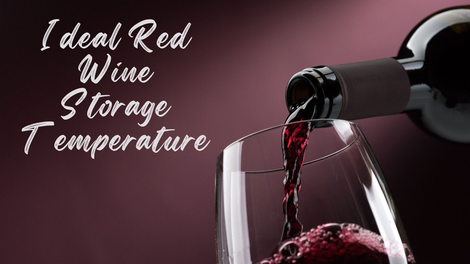 Ideal Red Wine Storage Temperature