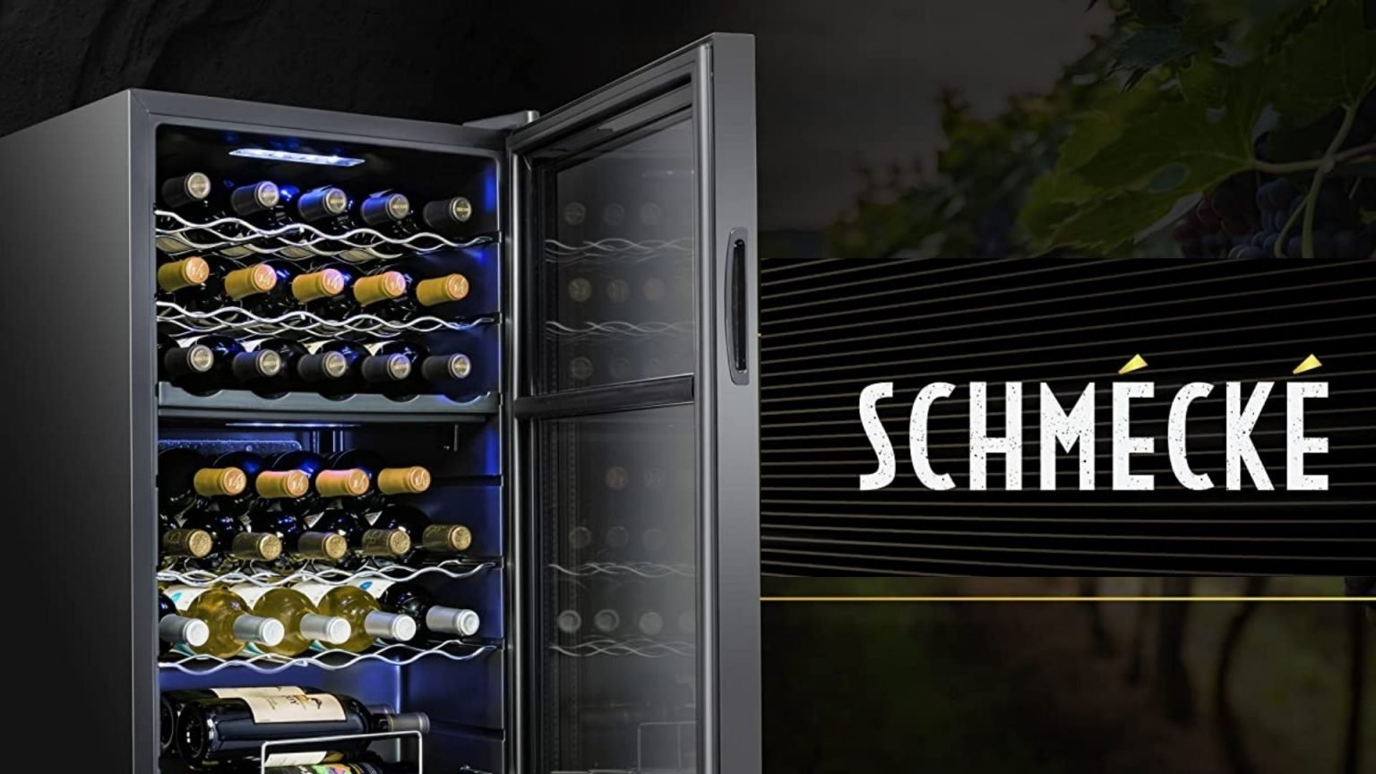 The Best and Cheap Schmecke Wine Cooler Reviews
