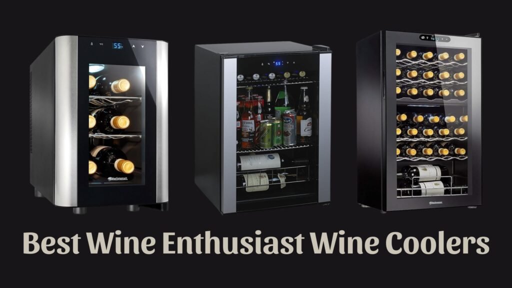 Best Wine Enthusiast Wine Coolers
